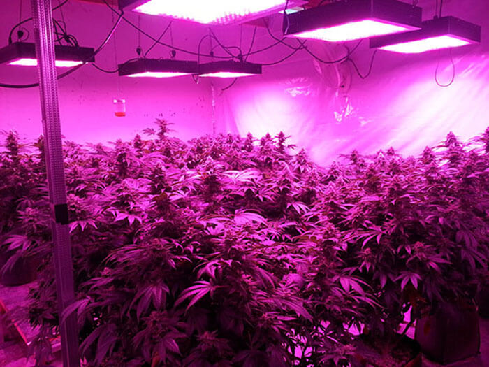 疫情之下，照明燈具企業(yè)如何求生