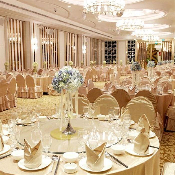 五星酒店燈具_(dá)宴會(huì)廳水晶燈定制效果圖【孫氏照明】